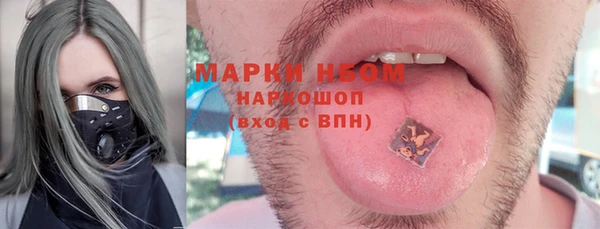 гидра Верхний Тагил