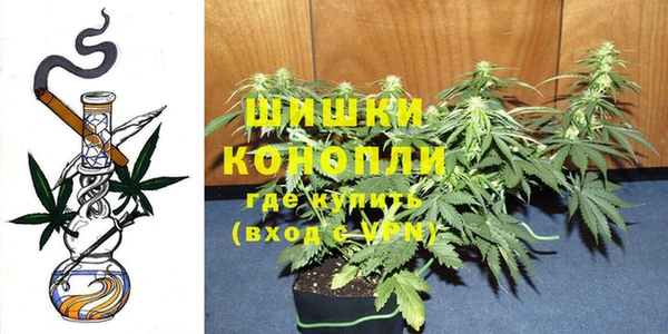 гидра Верхний Тагил