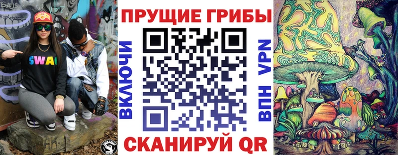 Купить  Нюрба  Псилоцибиновые грибы GOLDEN TEACHER 