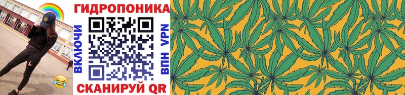 Марихуана гибрид Нюрба